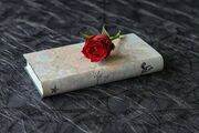 تفسیر فال حافظ امروز جمعه 20 شهریور