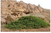 تکمیل بانک اطلاعاتی ۴۰ غار در اردبیل