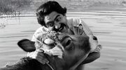 از هامون تا حاج‌ کاظم؛ نقش‌ هایی که هنوز در خاطره ایرانی‌ ها زنده‌ اند