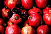 انار بخوریم؛ فراتر از یک میوه پیش از اثبات یک دارو