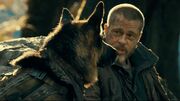 اولین واکنش ها به فیلم Heart of the Beast با بازی برد پیت منتشر شد