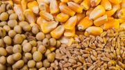سقف ارزی واردات کالاهای اساسی مشخص شد / از ذرت و روغن تا گوشت و شکر