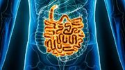 پیاده‌روی ۲۰ دقیقه‌ای چه بلایی سر روده می‌آورد؟ + پاسخ دانشمندان