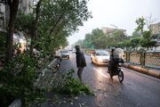 آسمان تهران صاف می‌ماند؛ وزش باد در راه پایتخت