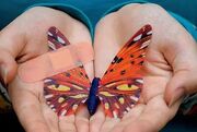 پول غرامت به حساب ۷۷۱ بیمار ای‌بی می‌رود؛ سرنوشت ۳۵۰ بیمار دیگر چه می‌شود؟