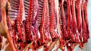 هیچ مجوزی برای کشتار و عرضه گوشت اسب، قاطر و الاغ صادر نشده است
