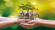 روز جهانی حیوانات؛ ۴ اکتبر فرصتی برای مهربانی با حیوانات
