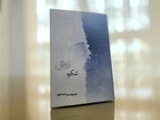 دومین دفتر شعر احمد افروز با عنوان «شکوه زوال» منتشر شد