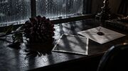 قتل هولناک دختر ۲۲ ساله / راز کوکب سیاه هنوز حل نشده است + عکس ها