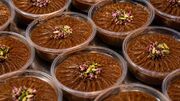 طرز تهیه انواع حلوا؛ ۳۰ مدل حلوا برای هر سلیقه