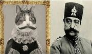 این گربه در دربار ناصرالدین شاه حقوق می گرفت / زنان دربار از شدت حسادت او را کشتند + عکس ببری خان