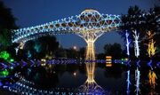 پل طبیعت به استقبال مناسبت تقویمی امشب آبی می‌شود