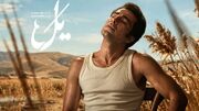 فیلم/ سکانس جنجالی «یَل» که ضربان قلب بینندگان رو بالای 100 بُرد/ وقتی مَلِک کرکره اتاق دختر ‌بچه رو پایین کشید