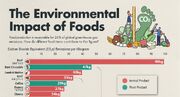 کدام مواد خوراکی بیشترین تأثیر منفی را بر محیط زیست می‌گذارند؟ + اینفوگرافیک - روزیاتو