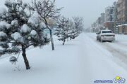 بارش برف و باران در جاده‌های ۵ استان کشور | روزنو