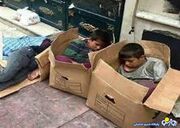 جنگیدن برای زنده ماندن آخرخطی‌های کارتن‌خوابی!