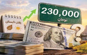 قیمت دلار همه انسان‌ها را به بازی گرفته است؟
