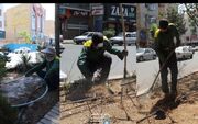 باغچه‌های سطح شهر غبارروبی و نوسازی می‌شوند » رویداد ایران