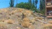 ۳۰۰ مترمربع از اراضی ملی از چنگ سودجویان آزاد شد » رویداد ایران