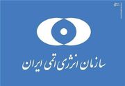 سازمان انرژی اتمی ایران: اظهارات گروسی دور از شان و جایگاه او بود