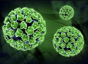 مینو محرز: با یک وضعیت نامشخص و بلبشو درخصوص HPV مواجهیم