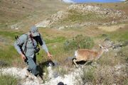 حکم اعدام محیط‌ بان کرمانی صادر شد