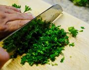 قیمت سبزی قورمه میلیونی شد!