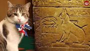مشهورترین گربه‌های تاریخ؛ از گربۀ پسر فرعون تا گربۀ نخست‌وزیر انگلیس