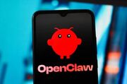 OpenClaw چیست و چرا به سرعت معروف شد؟