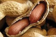 خوردن کپسول حاوی مدفوع انسان می‌تواند آلرژی به بادام زمینی را کاهش دهد