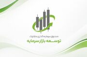 انتشار اطلاعات پرتفوی صندوق‌ توسعه بازار سرمایه در سطح نماد + لینک گزارش