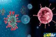 شیوع همزمان چند ویروس و باکتری در کشور