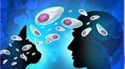 توکسوپلاسموز با بدن چه می‌کند