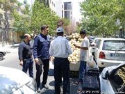 پایان بی‌نظمی وانت‌بارها/ آرامش و سهولت تردد برای شهروندان