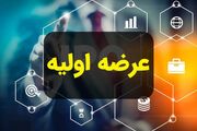 یکشنبه منتظر پنجمین عرضه اولیه امسال باشید (۲۴ خرداد ۱۴۰۵) | چقدر نقدینگی مورد نیاز است؟