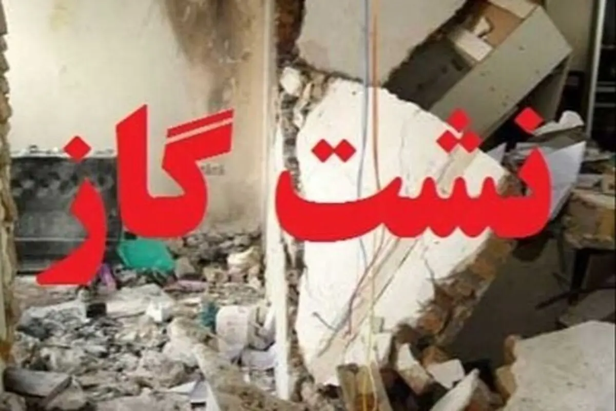 مهار سریع حادثه نشت گاز از تأسیسات یک سردخانه