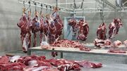 آغاز توزیع گوشت در میادین و بازارهای میوه و تره‌بار