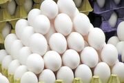 قیمت واقعی هر شانه تخم‌مرغ امروز 19 خرداد 1405 اعلام شد