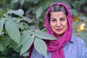 مشاهده کردن را از روزنامه‌نگاری آموختم/ درخت؛ بازتابی از وضعیت انسان