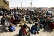 امکان صدور مجوز کسب و کار برای اتباع خارجه از درگاه ملی مجوز‌ها فراهم شد
