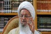 آیت‌الله مکارم شیرازی: نباید اجازه داده شود برخی افراد سودجو بر مردم فشار وارد کنند