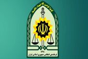 توضیح پلیس یزد درباره زن نیمه برهنه در پارک