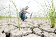 قطع برق در مزارع