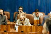 حمیده چوبک به دیدار معاون اول پزشکیان رفت + عکس
