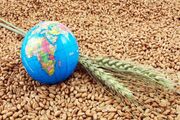 امنیت غذایی در گرو مهار تورم