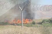 پارک ملی بمو آتش گرفت