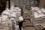 قیمت برنج همچنان در کانال ۴۵۰ تا ۵۵۰ هزار تومان