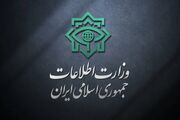 تصویب اعمال حبس برای همکاری علمی با دانشگاه‌های خارج از تایید وزارت اطلاعات تکذیب شد