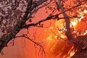 آتش سوزی گسترده در ارتفاعات کبیرکوه دره‌شهر