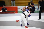 حذف هر سه نماینده MMA ایران از ناگویا + ویدیو